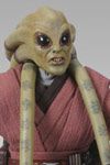 Kit Fisto